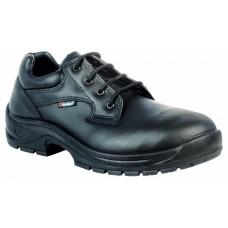 AUGUSTUS 02 HRO SRC FO 